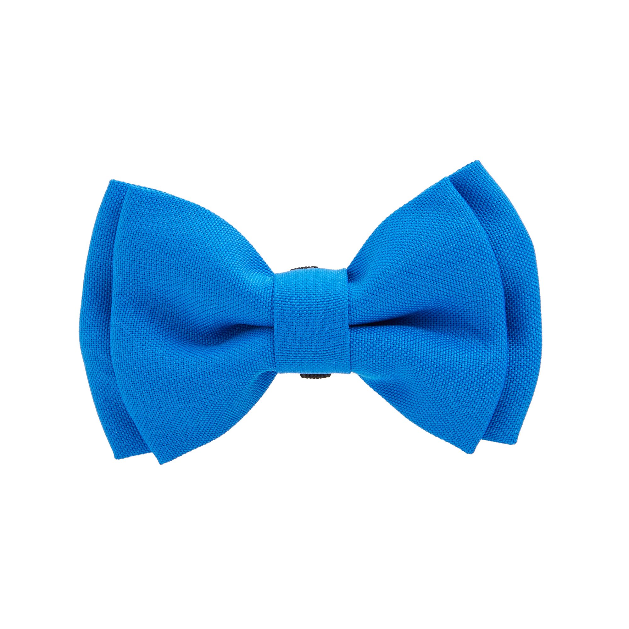 Bow tie clearance dog collar petsmart