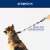 Top Paw® Traffic Dog Leash image thumbnail 4