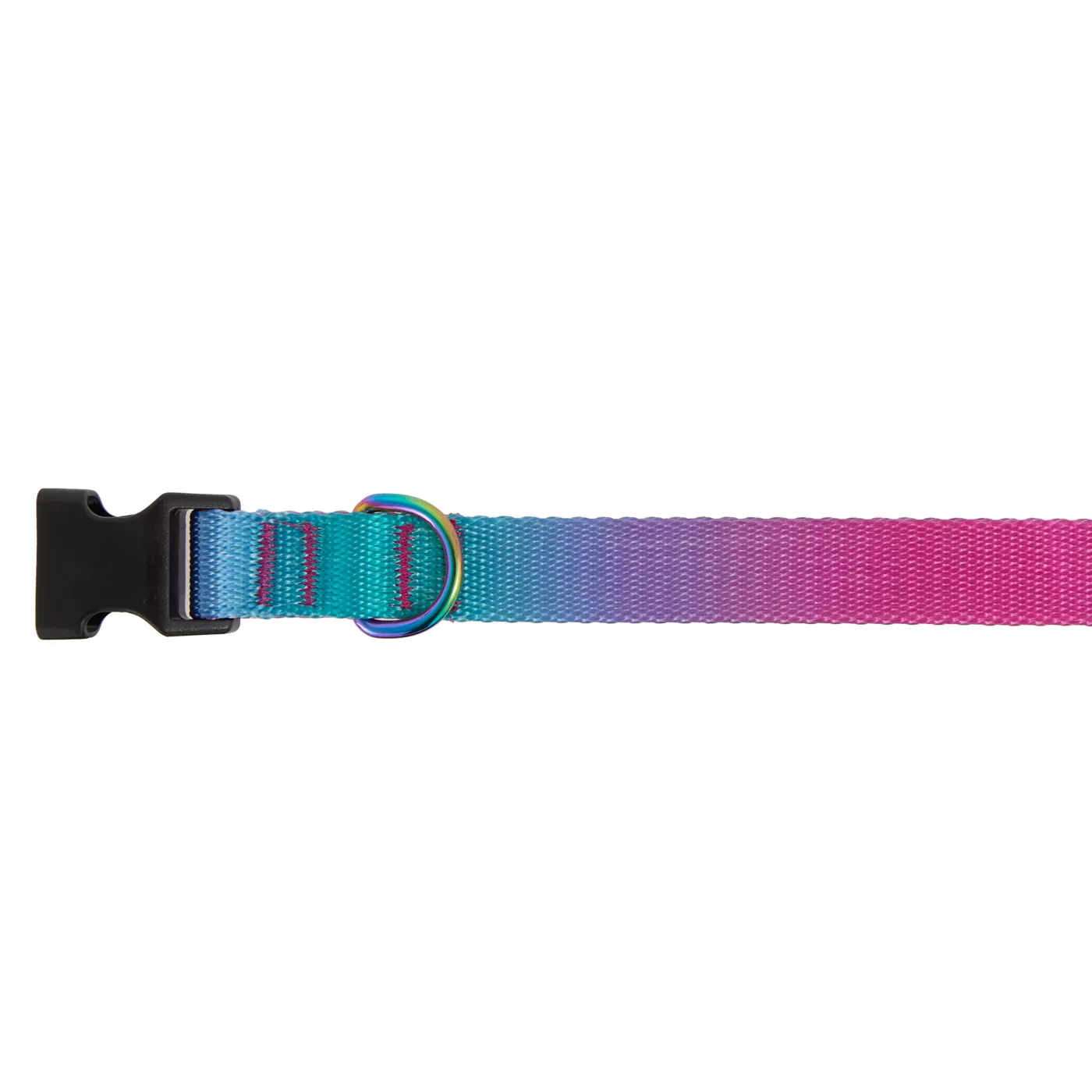 Head collar petsmart best sale