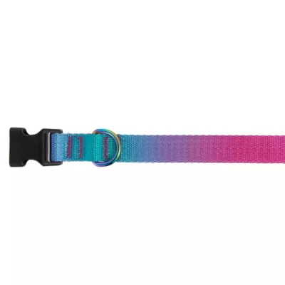 Product Top Paw® Pink & Teal Ombre Dog Collar