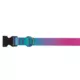 Product Top Paw® Pink & Teal Ombre Dog Collar