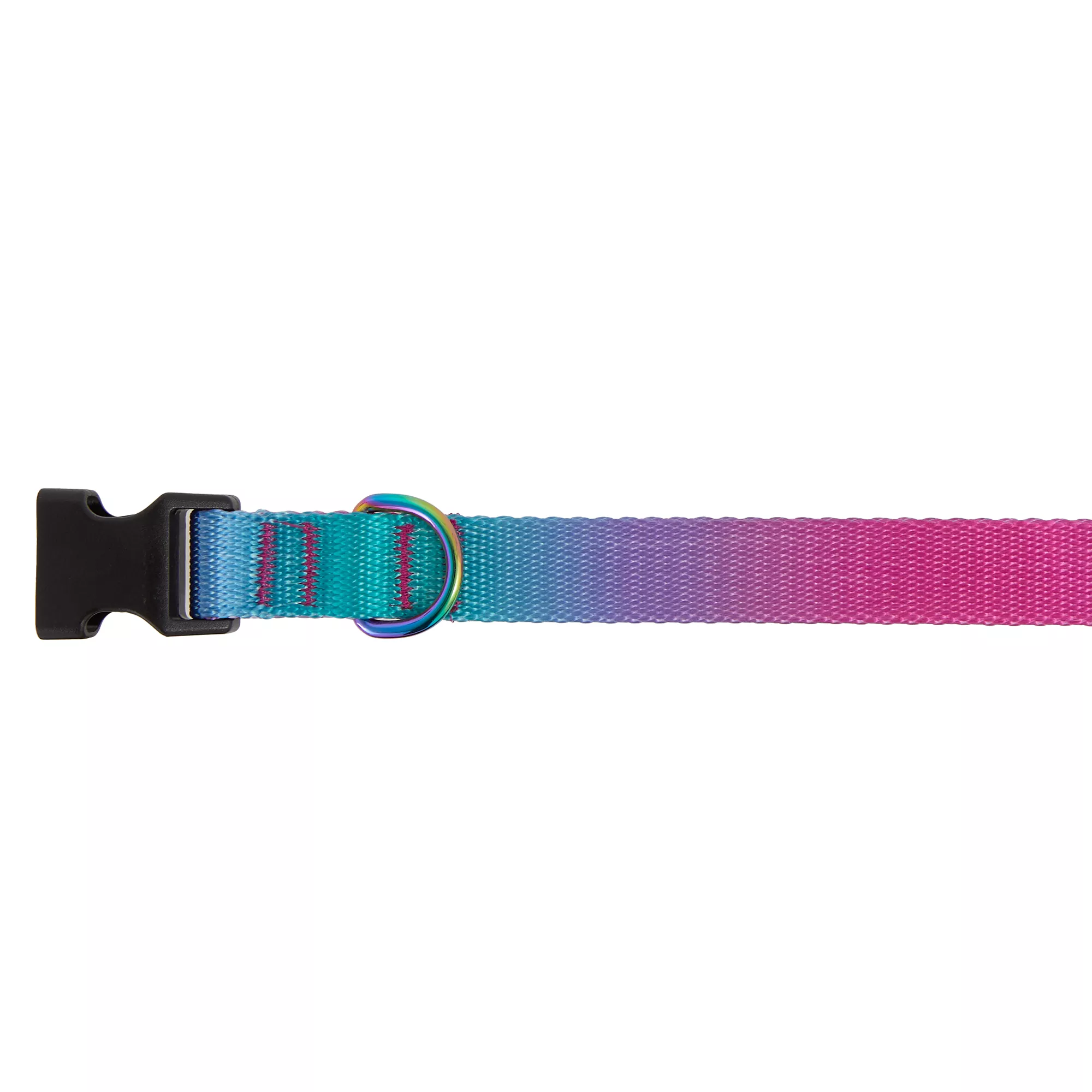 Top Paw® Ombre Dog Collar