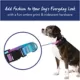 Product Top Paw® Pink & Teal Ombre Dog Collar