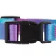 Product Top Paw® Pink & Teal Ombre Dog Collar