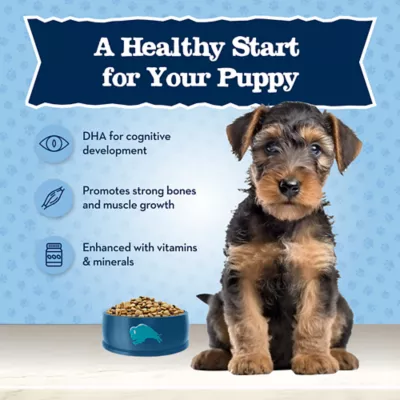 Product Blue Buffalo® Baby BLUE™ Puppy Dry Dog Food - Natural, Chicken