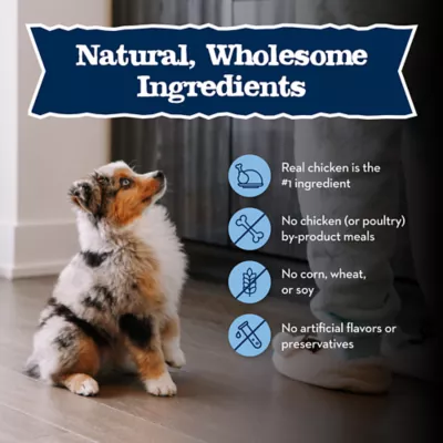 Product Blue Buffalo® Baby BLUE™ Puppy Dry Dog Food - Natural, Chicken