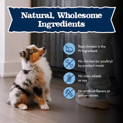 Product Blue Buffalo® Baby BLUE™ Puppy Dry Dog Food - Natural, Chicken