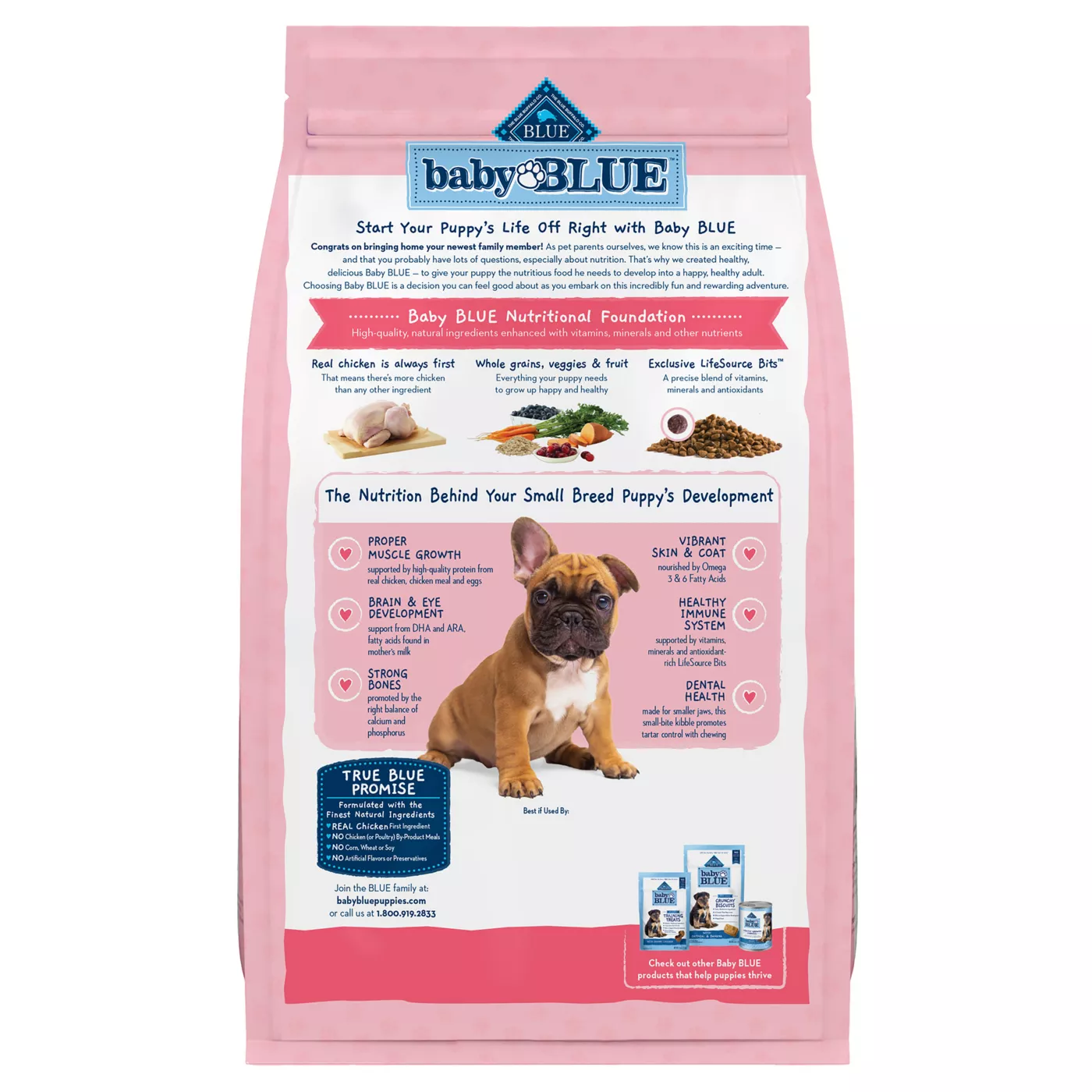 Best dry dog food for small breed puppies best sale