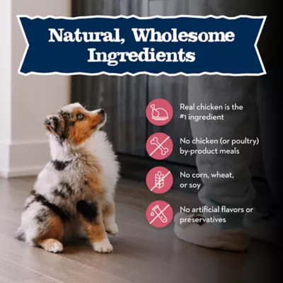 Product Blue Buffalo® Baby BLUE™ Healthy Growth Formula Small Breed Puppy Dry Dog Food - Chicken