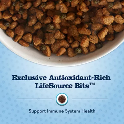 Product Blue Buffalo® Baby BLUE™ Healthy Growth Formula Small Breed Puppy Dry Dog Food - Chicken