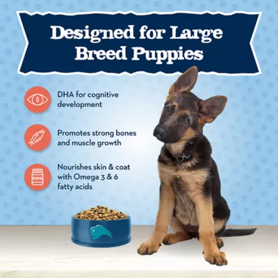 Product Blue Buffalo® Baby BLUE™ Healthy Growth Formula Large Breed Puppy Dry Dog Food - Natural, Chic