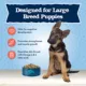 Product Blue Buffalo® Baby BLUE™ Healthy Growth Formula Large Breed Puppy Dry Dog Food - Natural, Chic