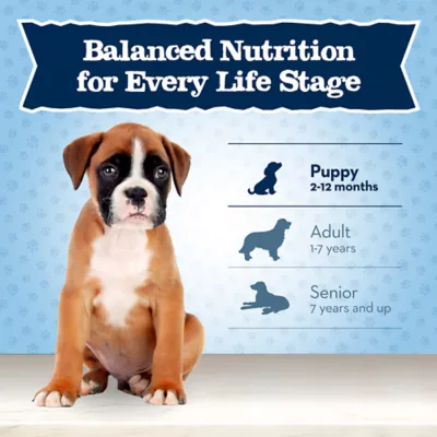 Product Blue Buffalo® Baby BLUE™ Healthy Growth Formula Large Breed Puppy Dry Dog Food - Natural, Chic