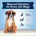 Blue Buffalo® Baby BLUE™ Healthy Growth Formula Large Breed Puppy Dry Dog Food - Chicken image thumbnail 8