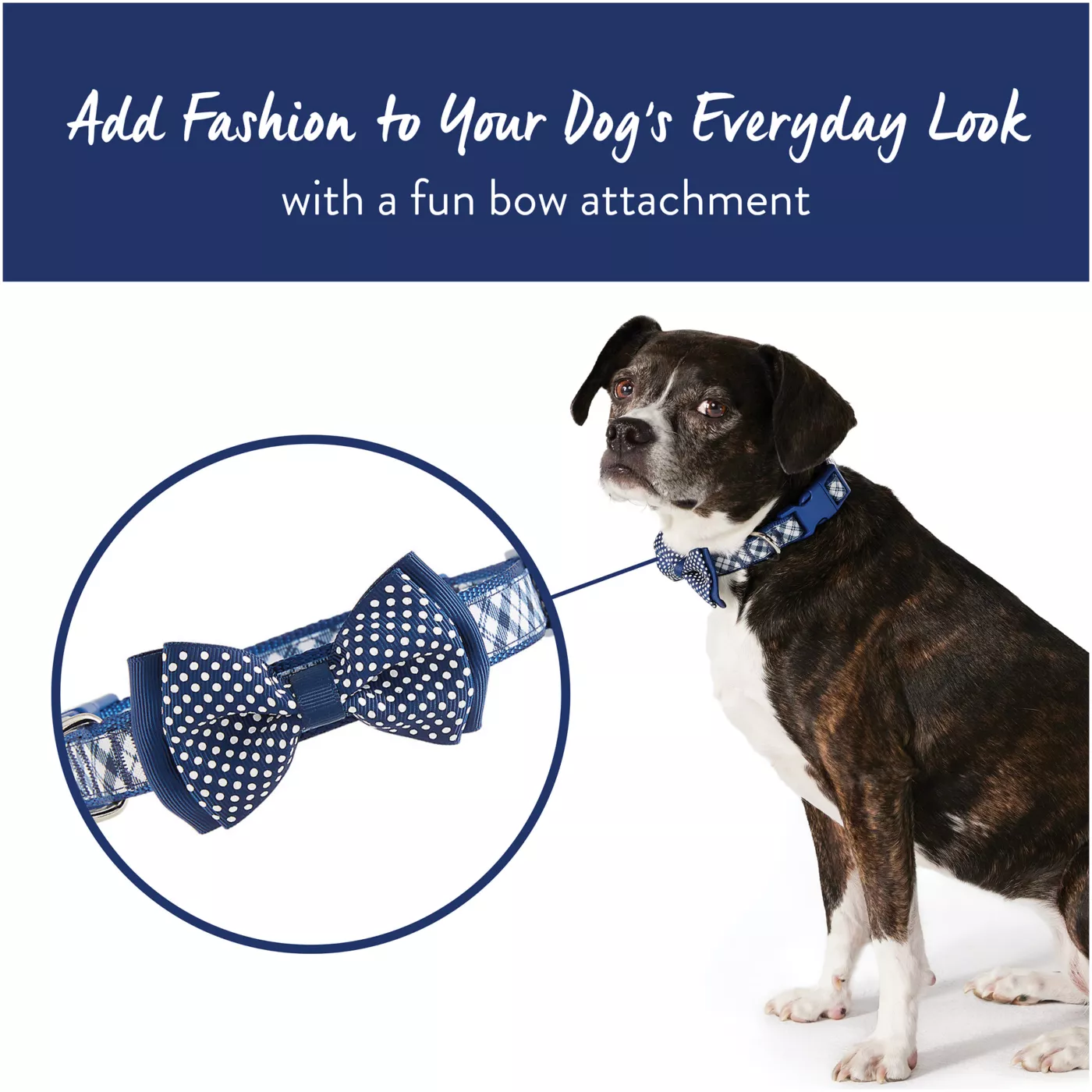 Top Paw Blue Plaid with Bow Tie Adjustable Dog Collar