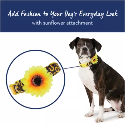 Top Paw Sunflower Adjustable Dog Collar