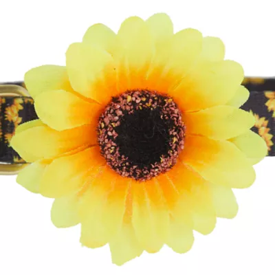 Product Top Paw® Sunflower Adjustable Dog Collar