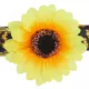 Product Top Paw® Sunflower Adjustable Dog Collar