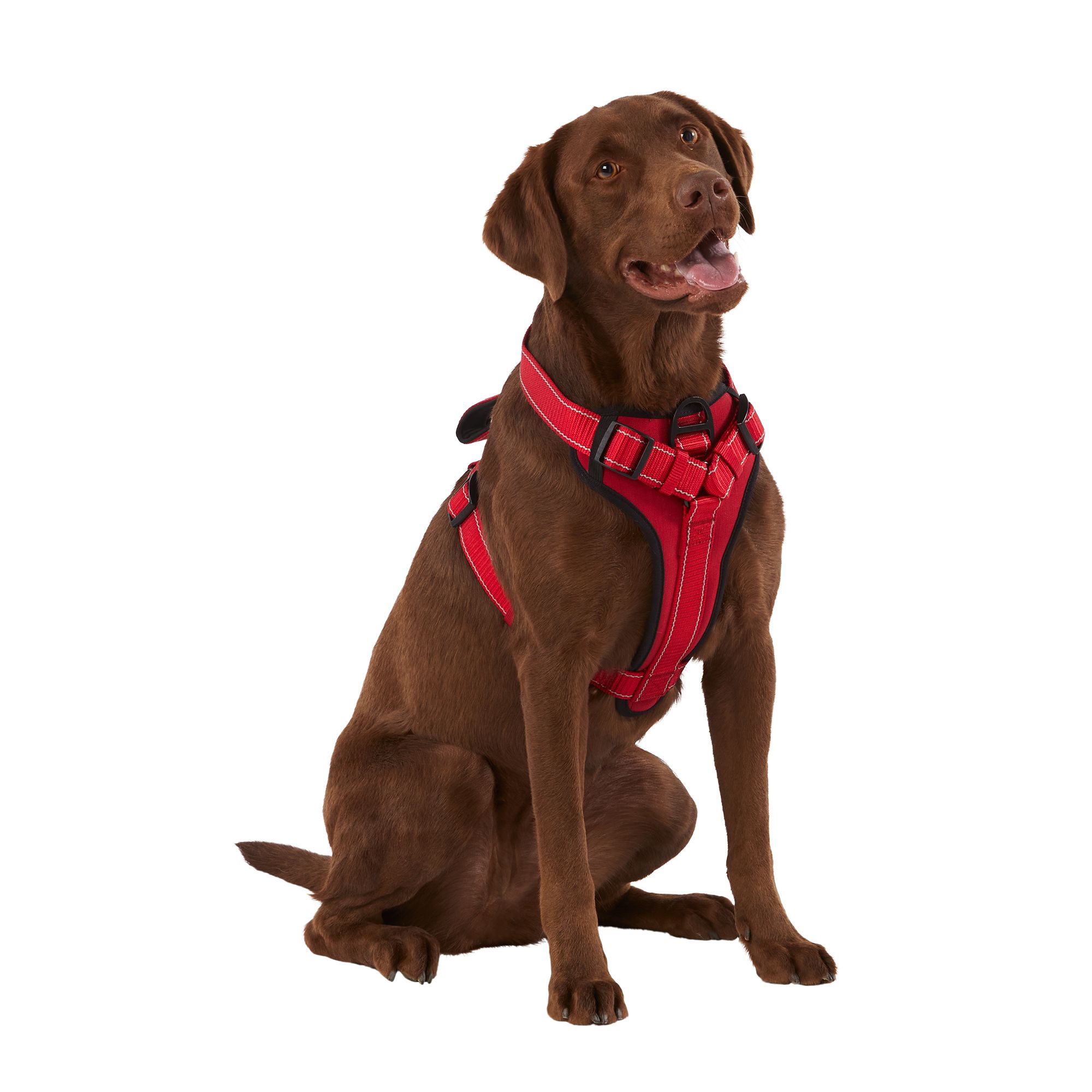 Kong Max Neoprene Padded Dog Harness in Red Size Small PetSmart