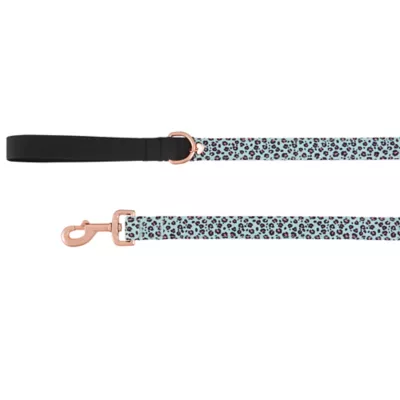 Product Top Paw® Teal Cheetah Neoprene Dog Leash: 4-ft long, 1-in wide