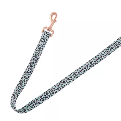 Product Top Paw® Teal Cheetah Neoprene Dog Leash: 4-ft long, 1-in wide