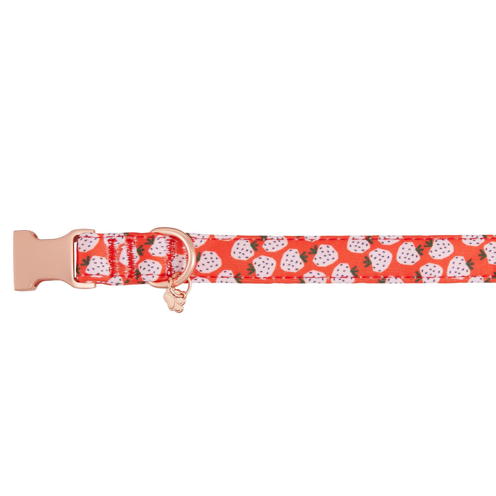 Top Paw® Strawberry Neoprene Adjustable Dog Collar | dog Collars | PetSmart