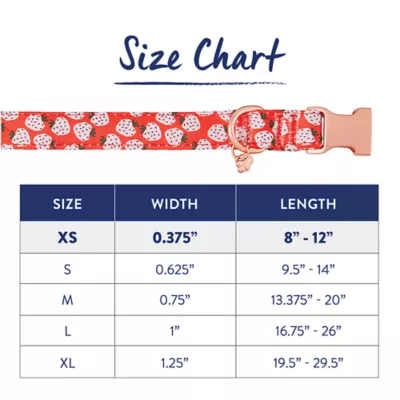 Product Top Paw® Strawberry Neoprene Adjustable Dog Collar