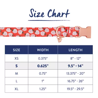Product Top Paw® Strawberry Neoprene Adjustable Dog Collar