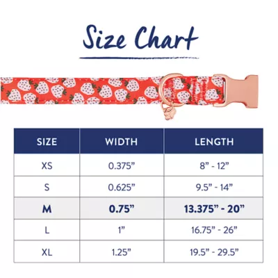 Product Top Paw® Strawberry Neoprene Adjustable Dog Collar