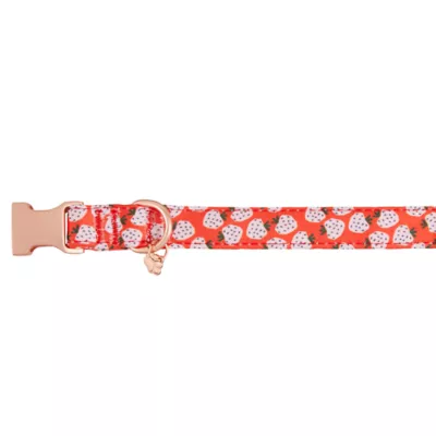 Product Top Paw® Strawberry Neoprene Adjustable Dog Collar