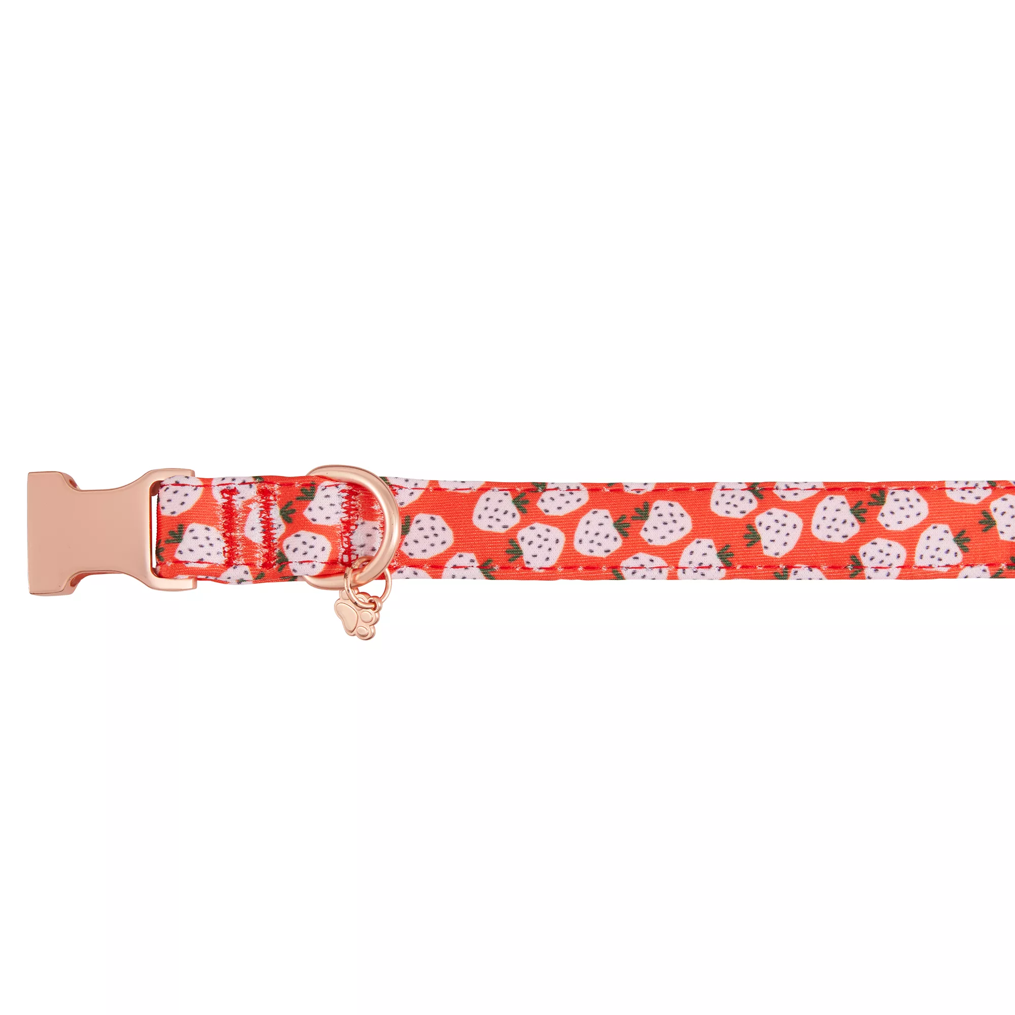 Top Paw® Strawberry Neoprene Adjustable Dog Collar