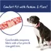 Top Paw® Strawberry Neoprene Adjustable Dog Collar image thumbnail 2
