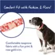 Product Top Paw® Strawberry Neoprene Adjustable Dog Collar