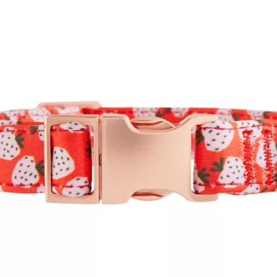 Product Top Paw® Strawberry Neoprene Adjustable Dog Collar