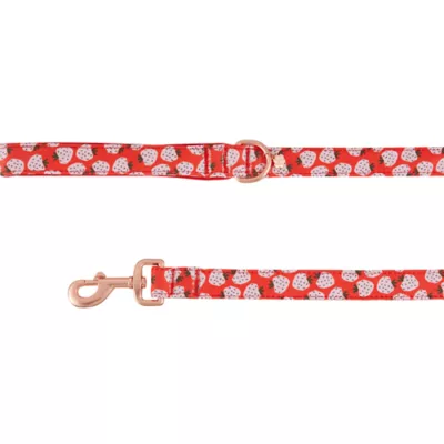 Product Top Paw® Strawberry Print Neoprene Dog Leash: 4-ft long, 1-in wide