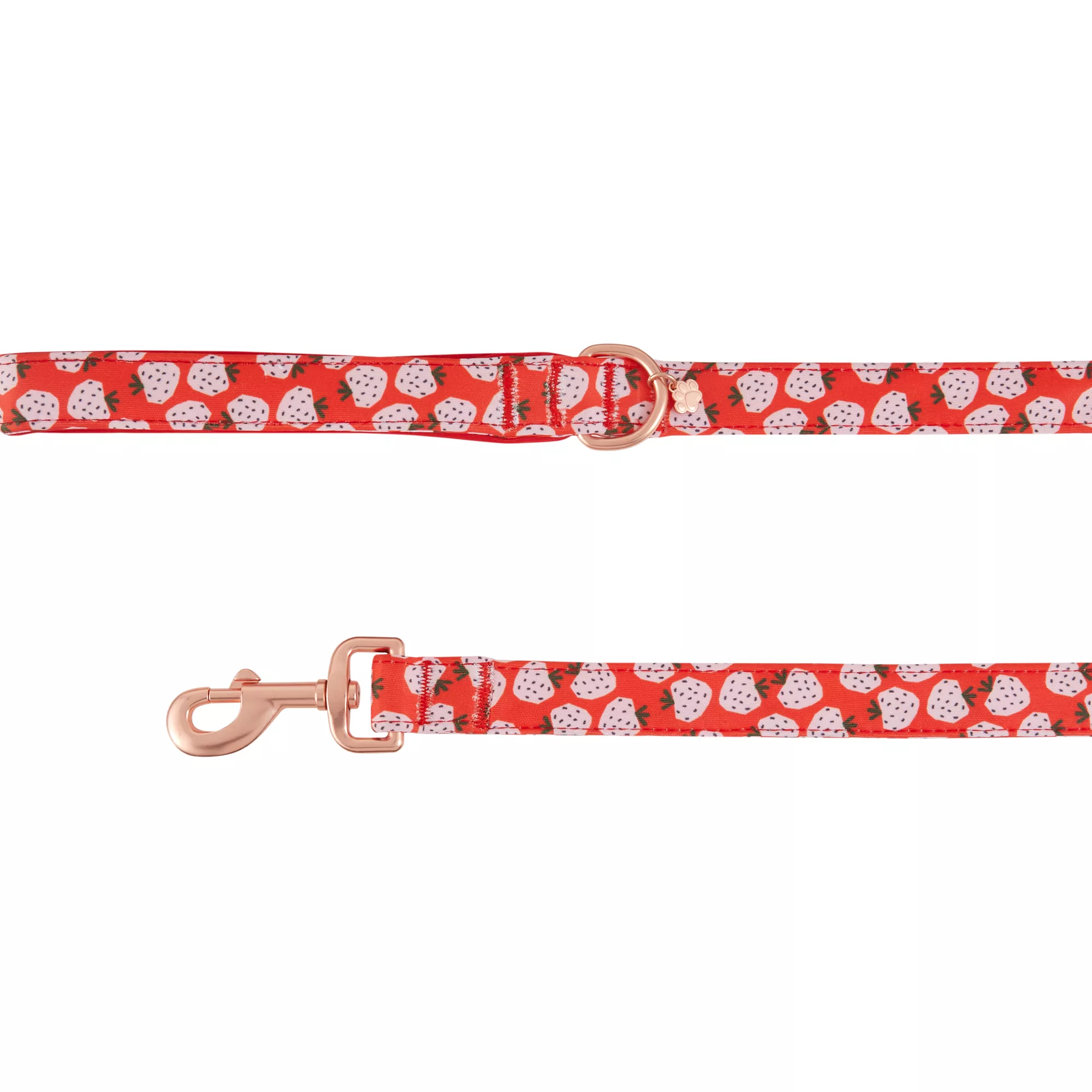 Top Paw® Strawberry Print Neoprene Dog Leash: 4-ft long, 1-in wide