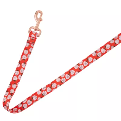 Product Top Paw® Strawberry Print Neoprene Dog Leash: 4-ft long, 1-in wide