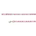 Top Paw® Princess Dog Leash: 6-ft long image thumbnail 1