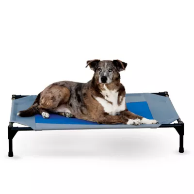 Product K&H Pet Products Coolin' Pet Cot Elevated Pet Bed