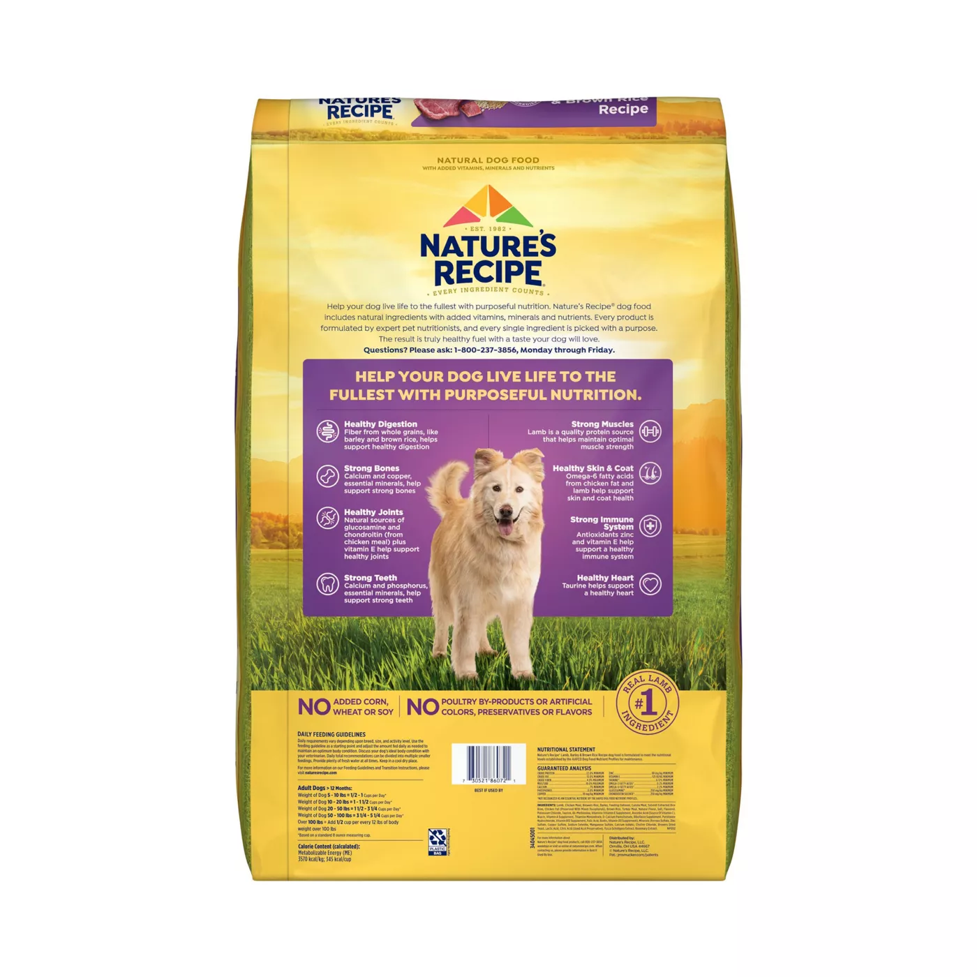 Nature s Recipe Adult Dry Dog Food Lamb Rice