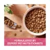 Nature's Recipe All Life Stage Dry Dog Food - Salmon, Sweet Potato & Pumpkin image thumbnail 4