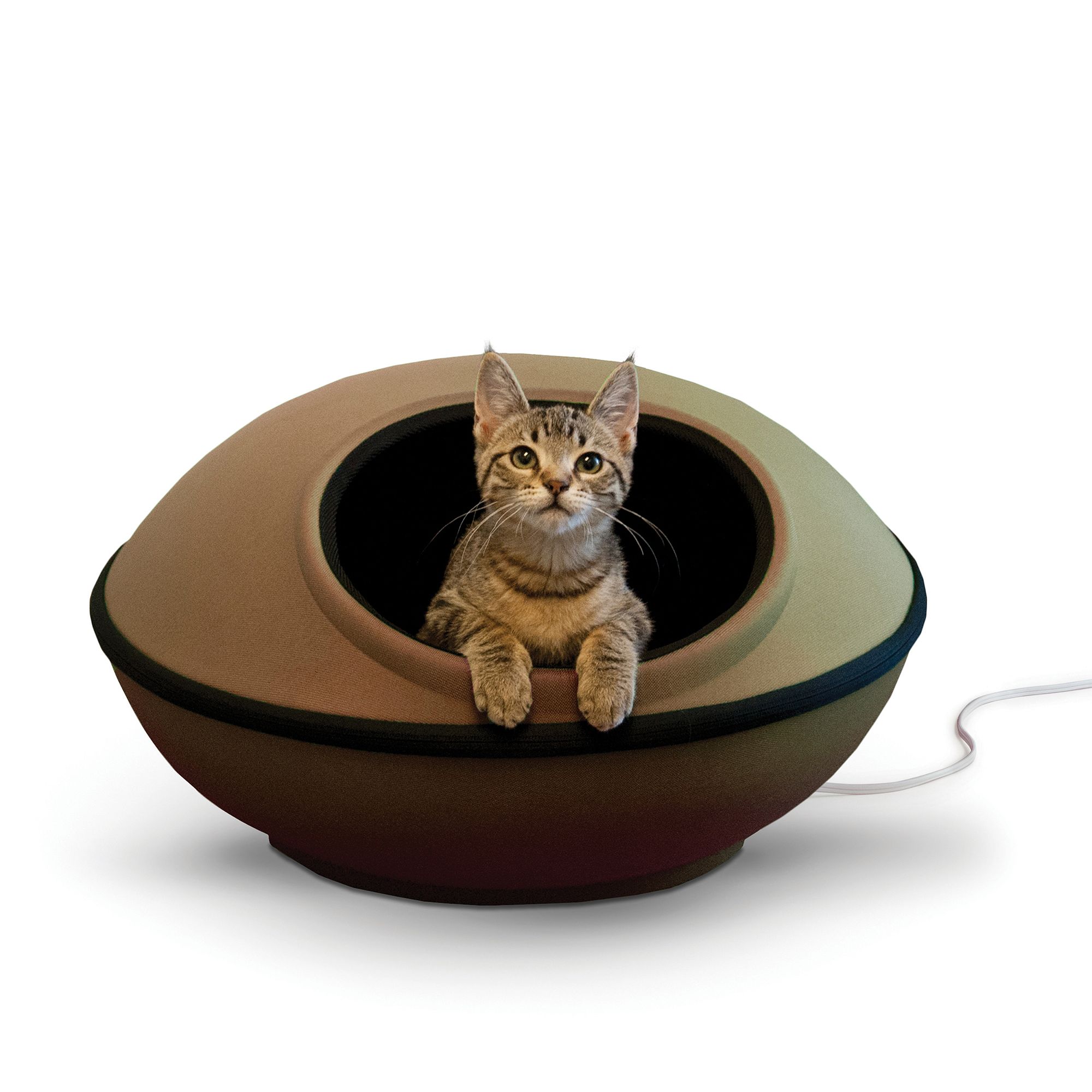 Heated cat bed clearance petsmart