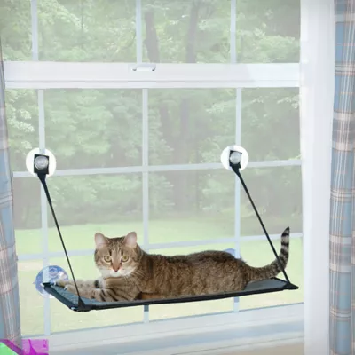 Pet window hammock hotsell