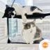 K&H Pet Products EZ Mount Window Sill Double Level Cat Bed image thumbnail 5