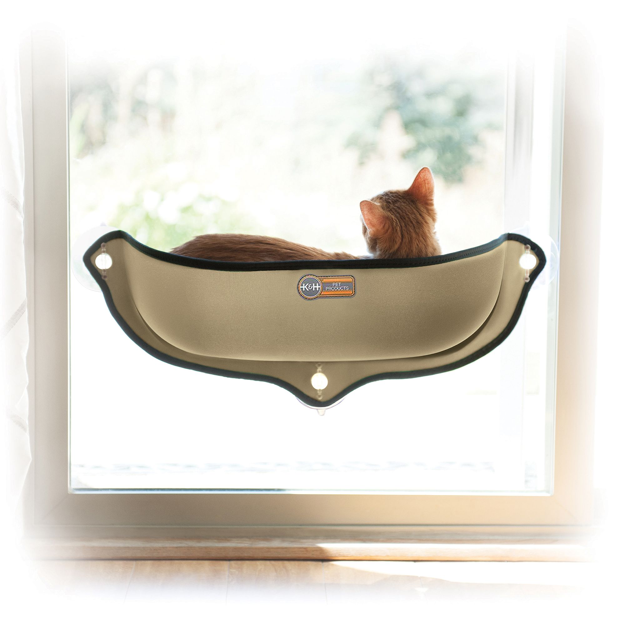  Cat Window Perches - Cat Window Perches / Cat Beds, Bedding &  Furniture: Pet Supplies