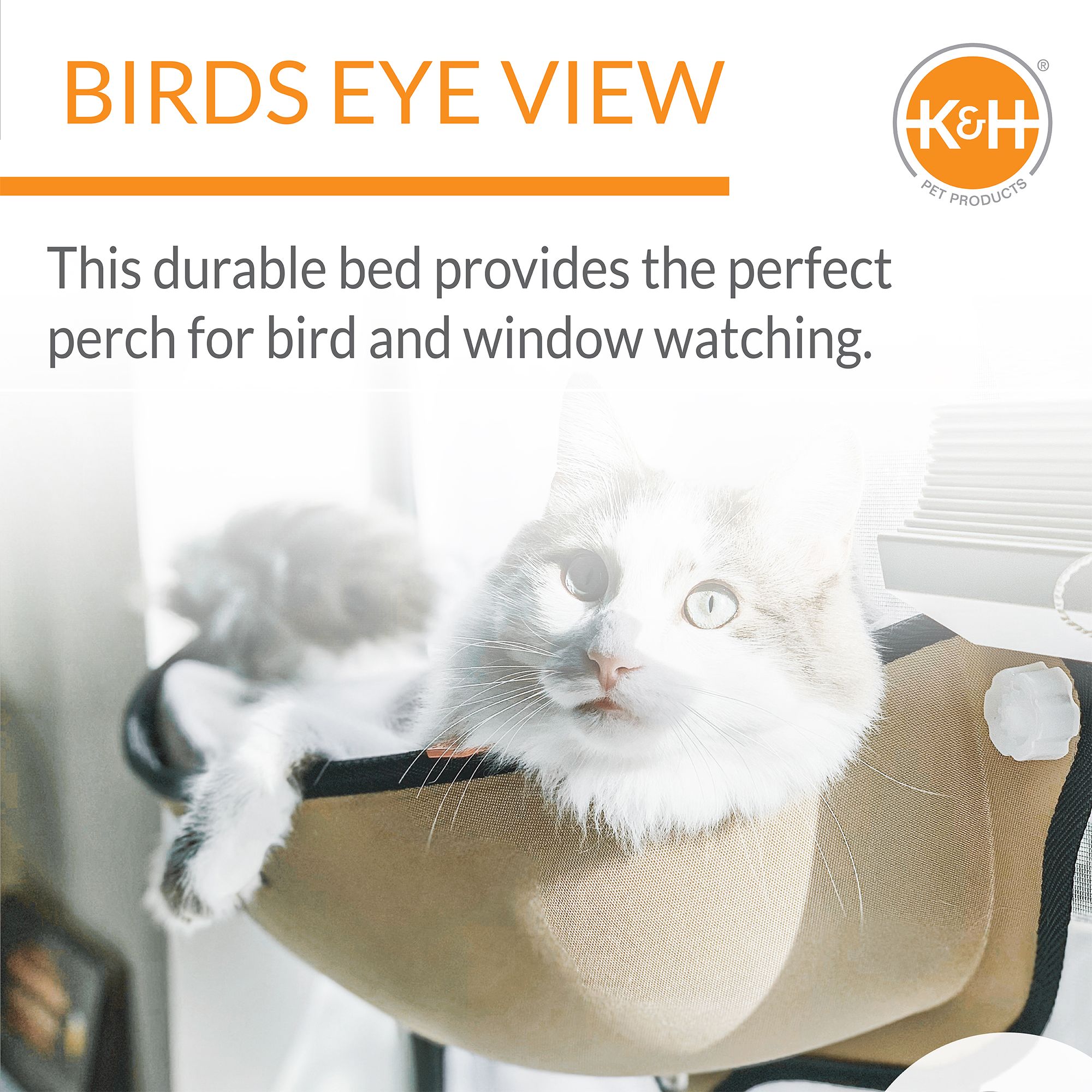 Window seat for cats petsmart sales