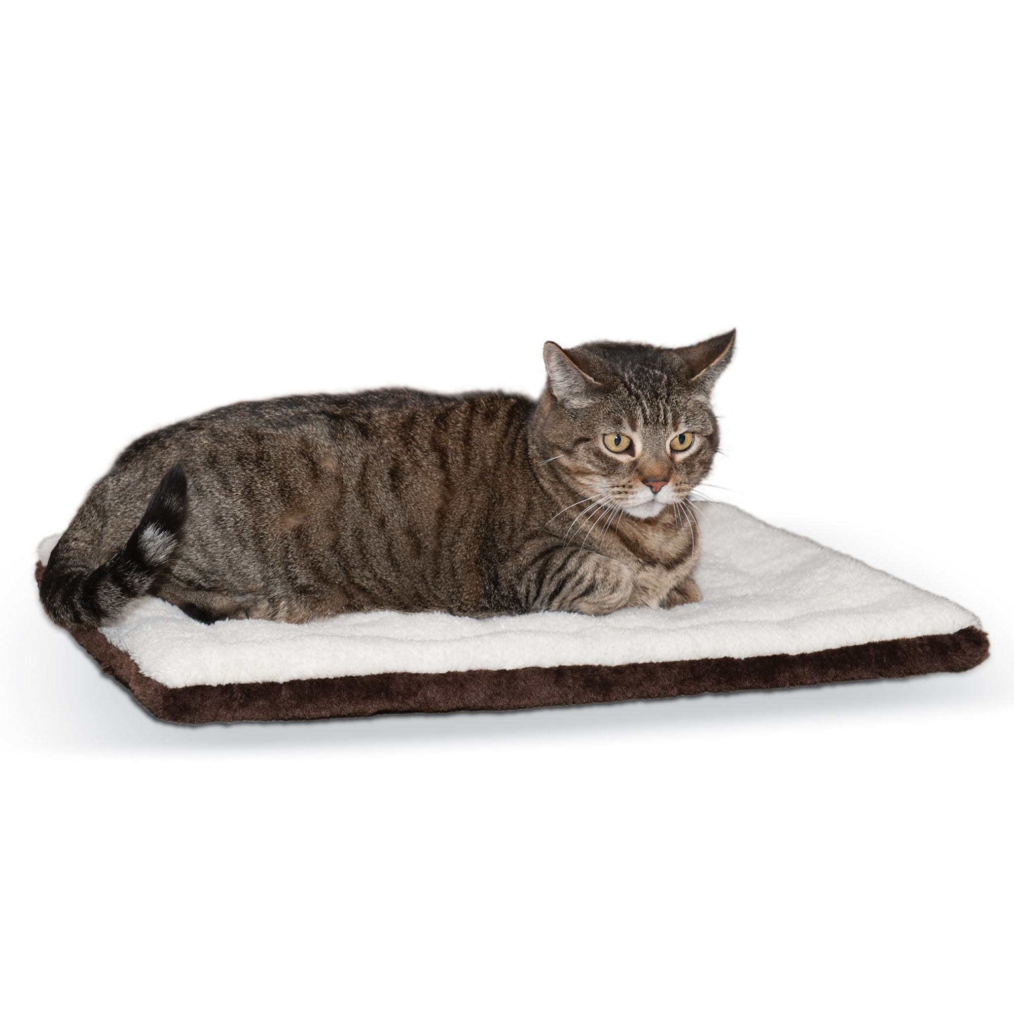 Reptile heating hot sale pad petsmart