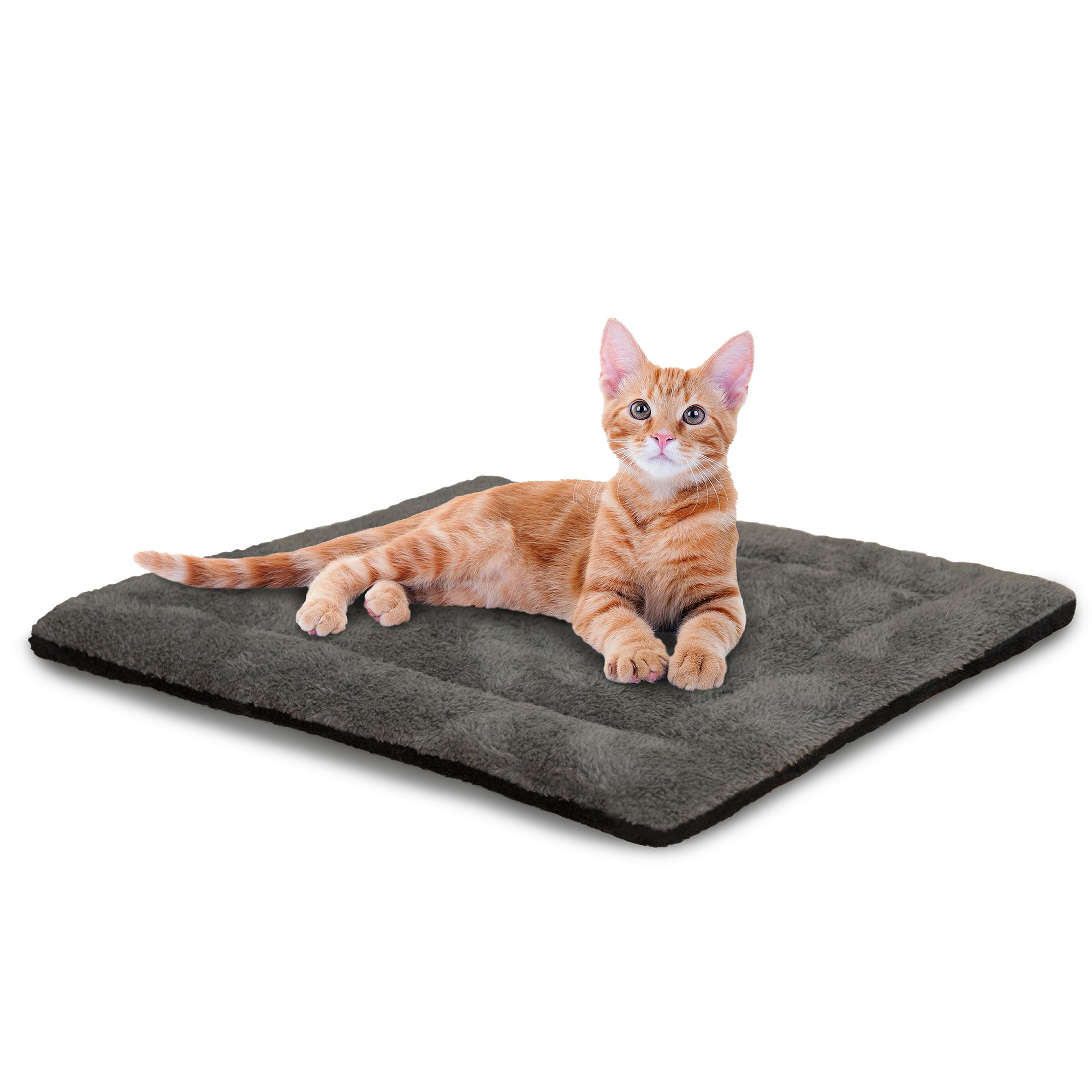 Heated cat 2025 beds petsmart