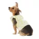 Product Top Paw® Lime Leaf Print Dog Dress