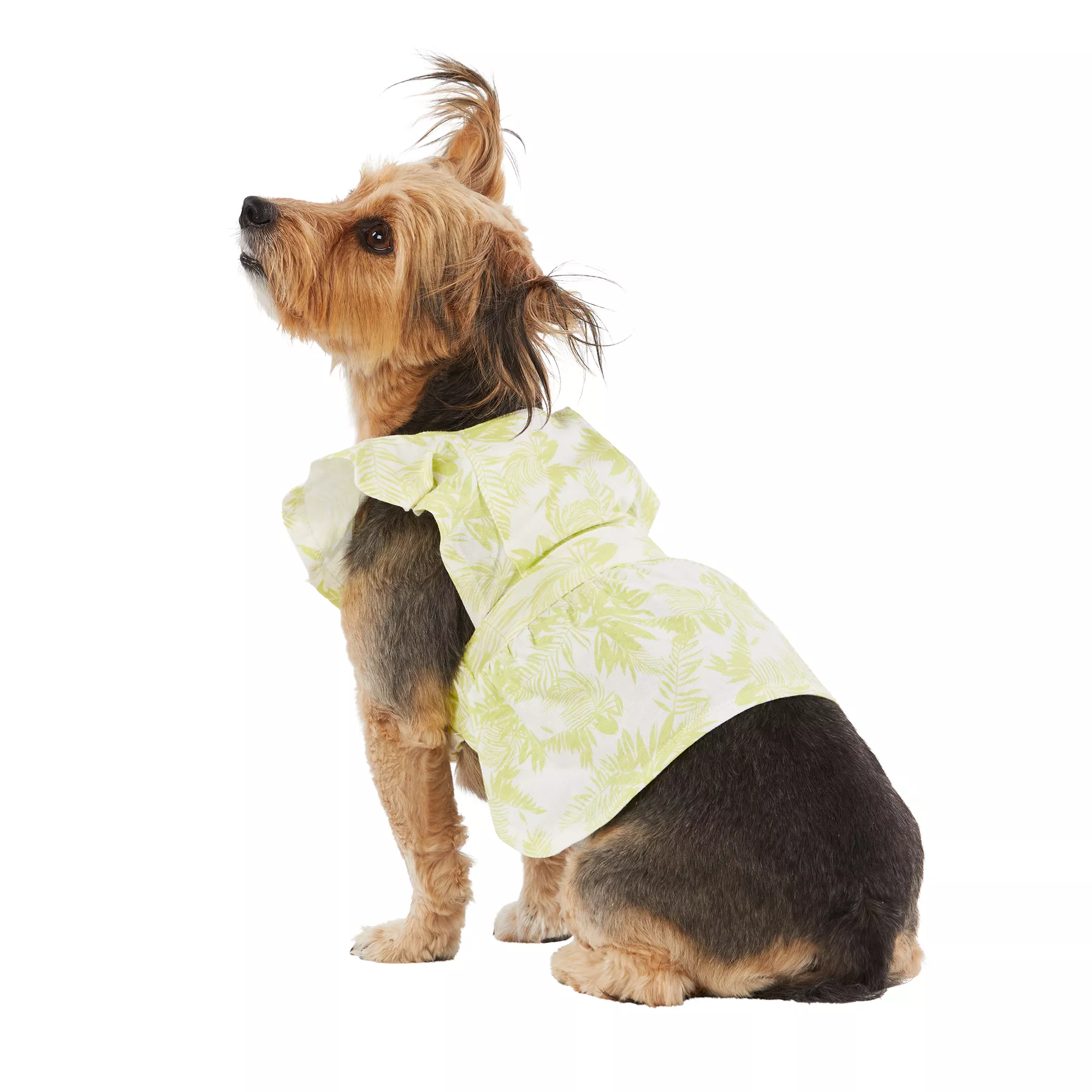 Top Paw® Lime Leaf Print Dog Dress